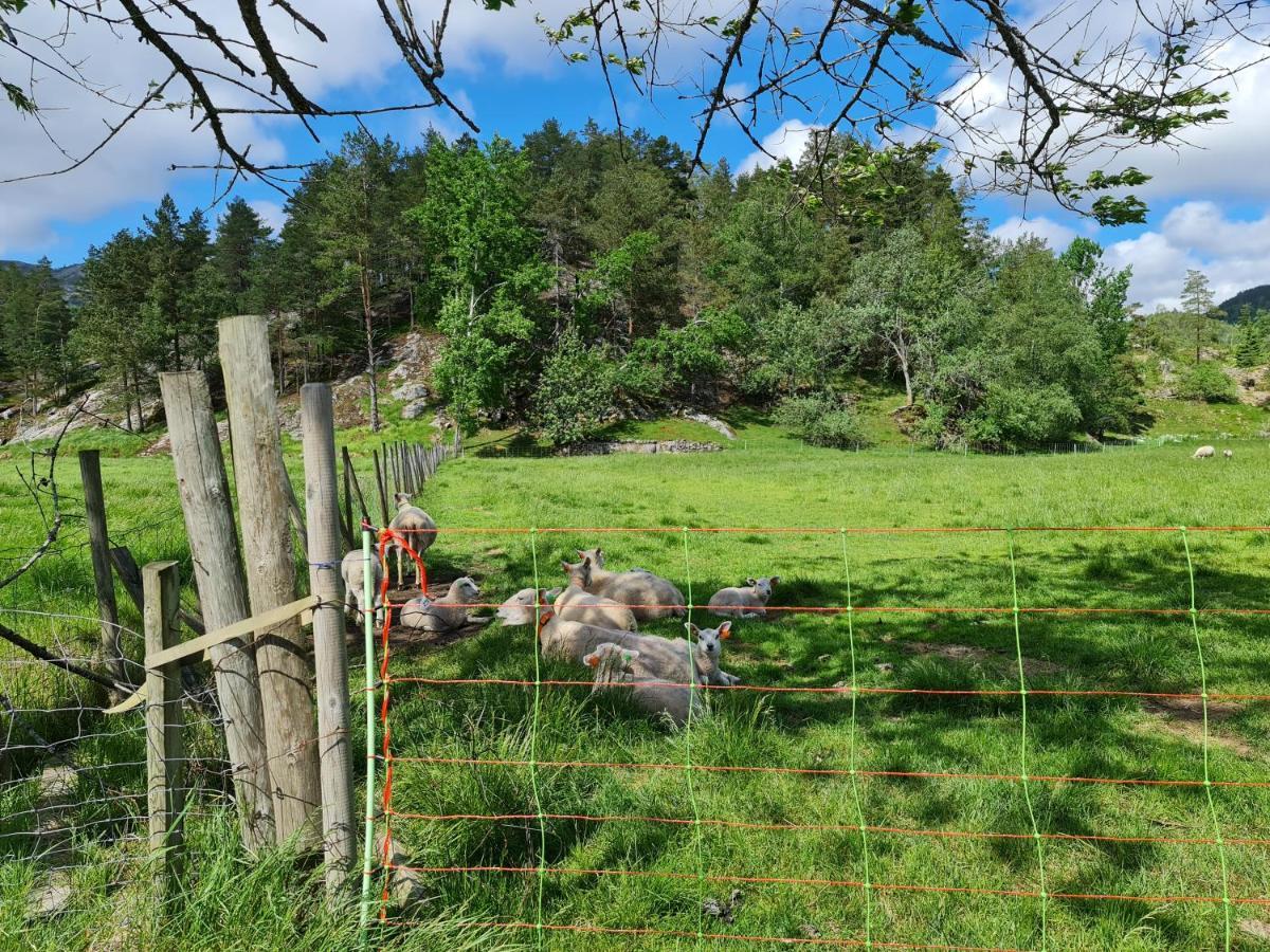 Hygge Pa Fjellet Villa Øyuvstad Kültér fotó
