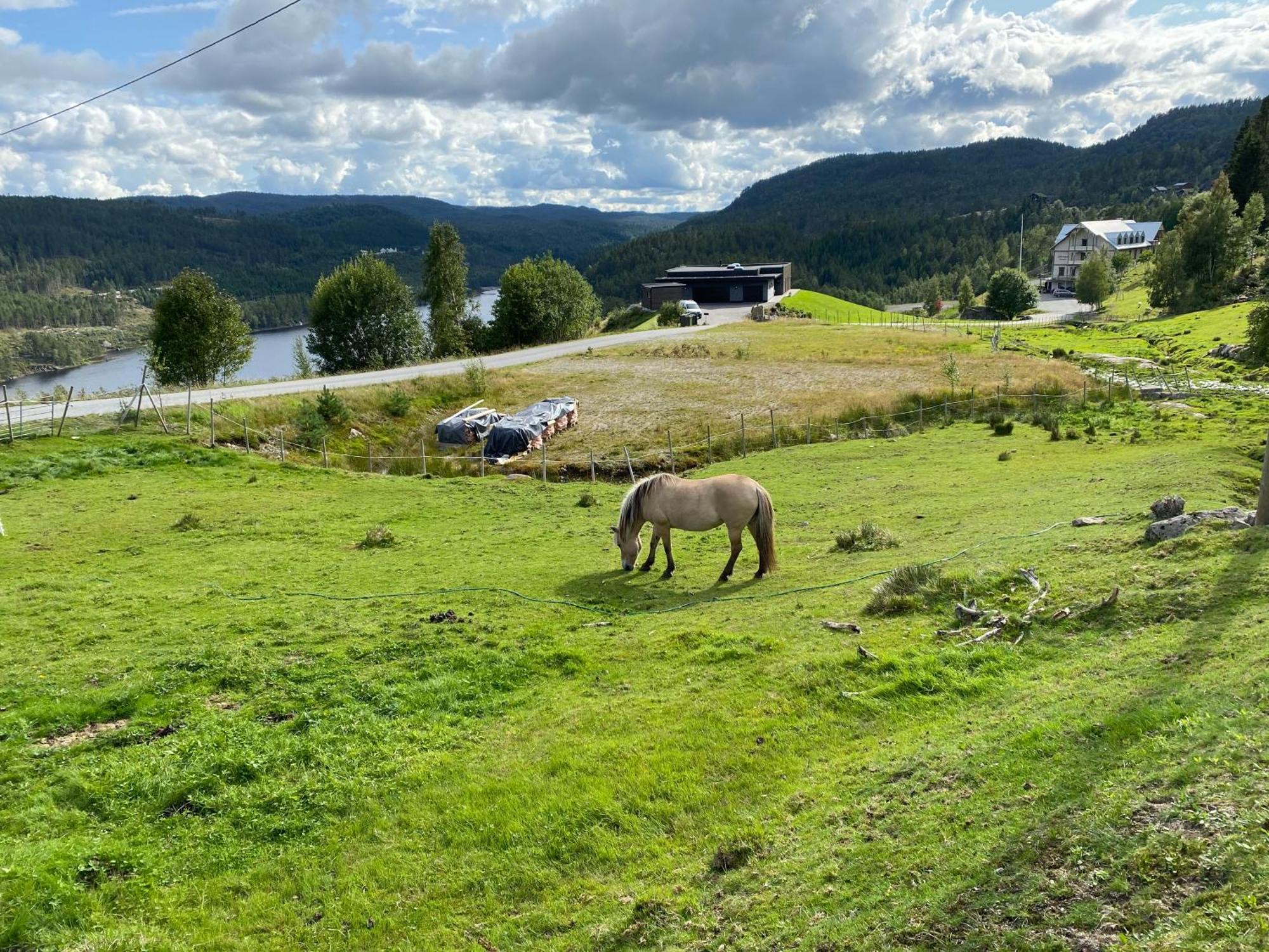 Hygge Pa Fjellet Villa Øyuvstad Kültér fotó
